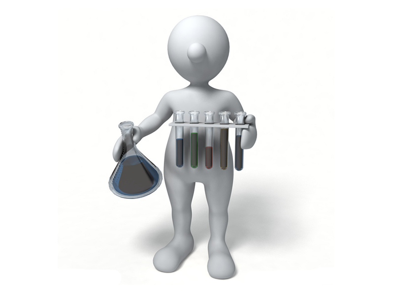 Western Blot 免疫印迹法 主要步骤