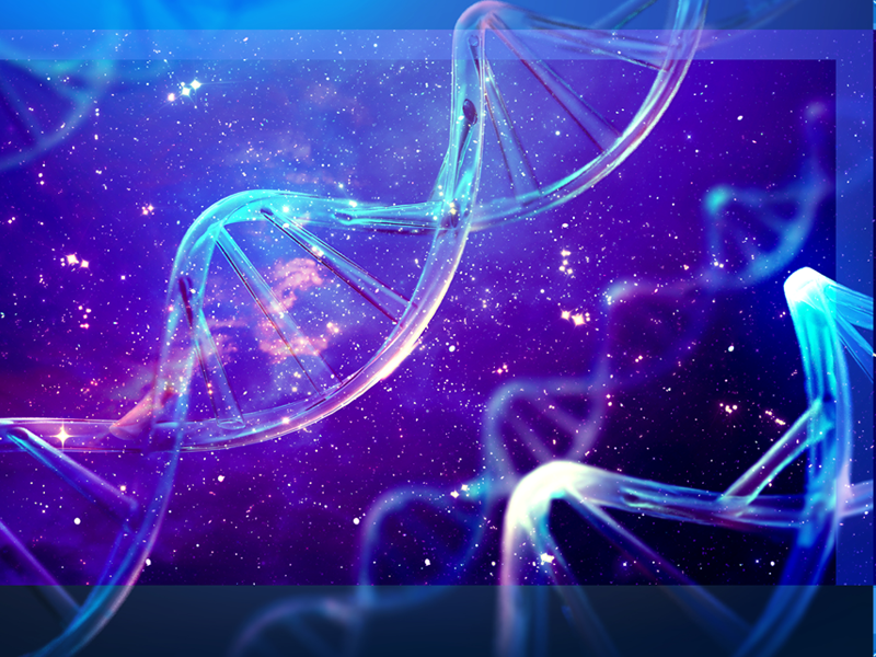 联科质造：Human Apolipoprotein E/Apo E  ELISA检测试剂盒