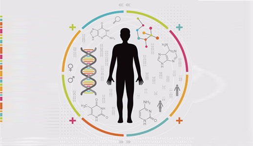 联科新品:人白细胞介素33 ELISA试剂盒