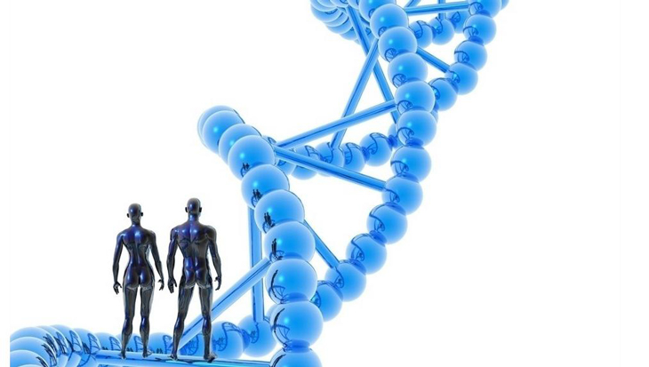 Human Carbonic Anhydrase XII/CA12 ELISA检测试剂盒