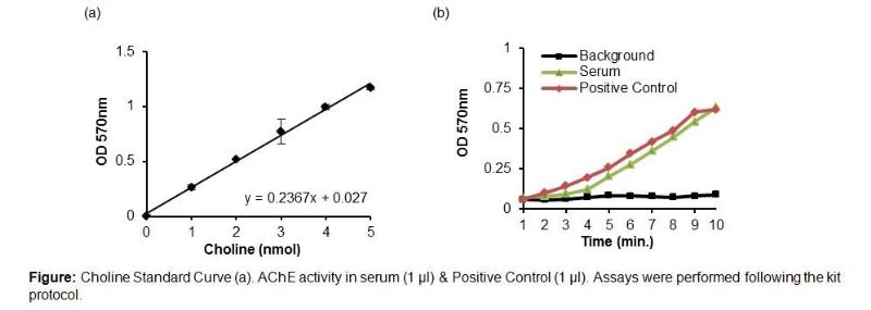 Biovision新品：胆碱和乙酰胆碱检测试剂盒、乙酰胆碱酯酶活性分析试剂盒