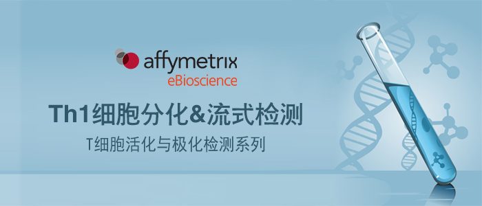 Th1细胞,流式检测,Th1细胞分化,细胞免疫,Th1淋巴细胞,IFN-gamma，IL-12 (p70)。