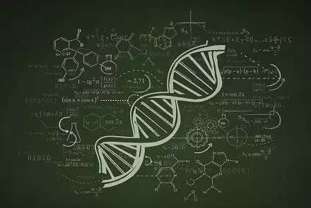 人白介素12p70高敏ELISA检测试剂盒