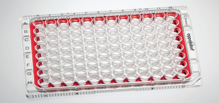 Eppendorf 细胞培养与细胞成像产品