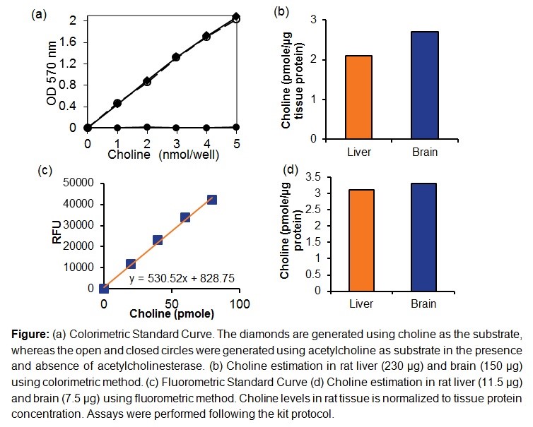 Biovision新品:胆碱和乙酰胆碱检测试剂盒、乙酰胆碱酯酶活性分析试剂盒