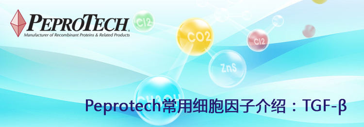 Peprotech常用细胞因子介绍:TGF-β