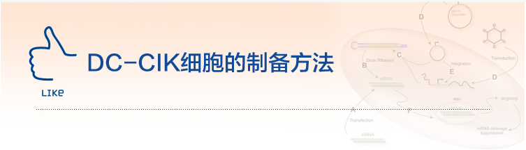 PeproTech,细胞制备,DC-CIK细胞制备,细胞因子诱导,细胞
