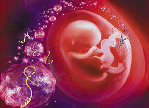 免疫球蛋白推荐：人IgG  ELISA检测试剂盒