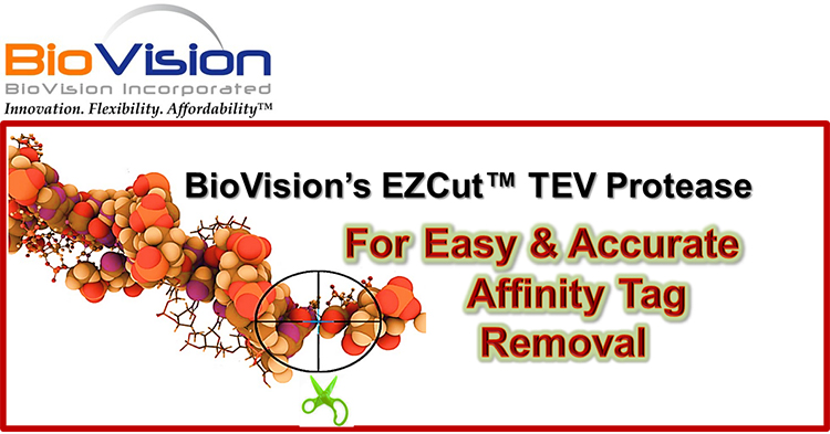Biovision EZCut TEV 蛋白酶—Cat#7847