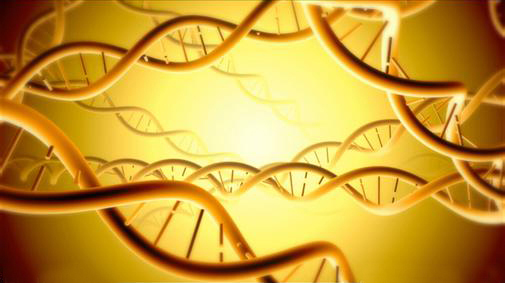 ELISA推荐:RBP4视黄醇结合蛋白4检测试剂盒