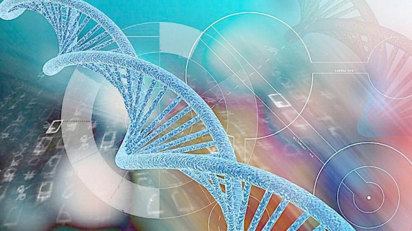 硫氧还蛋白推荐:人Trx-1 ELISA检测试剂盒