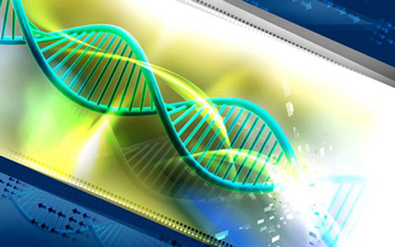 ELISA推荐:人Activin A 检测试剂盒