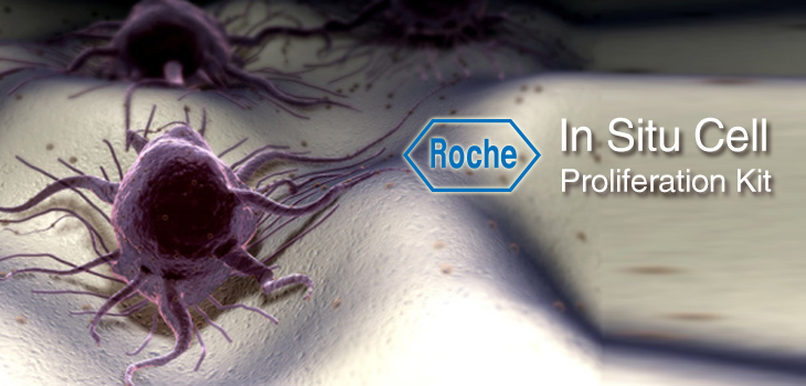 罗氏细胞增殖检测试剂盒