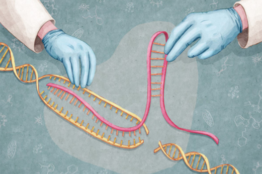 科研必备：Human IL-31 ELISA检测试剂盒