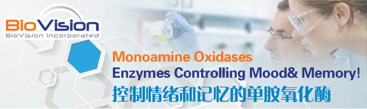 控制情绪和记忆的单胺氧化酶