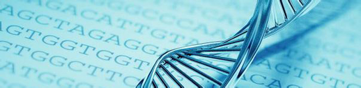 如何鉴定BMDC小鼠骨髓来源树突状细胞