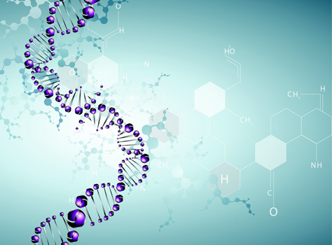 胞外多肽推荐:Rat IL-1α ELISA检测试剂盒