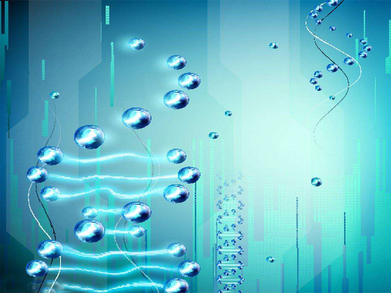 基因表达分析疾病和信号通路的利器(三）：PCR Array