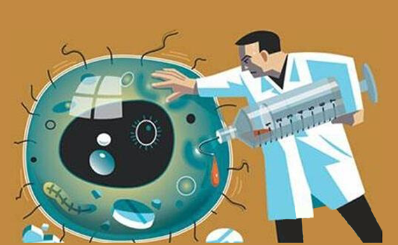 奥普瑞白介素推荐：人 IL-11 ELISA检测试剂盒