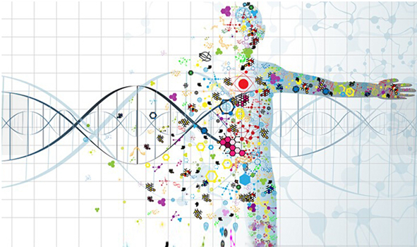 联科1月人ELISA检测试剂盒推荐:AFP