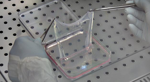 2017各种科学新闻大荟萃