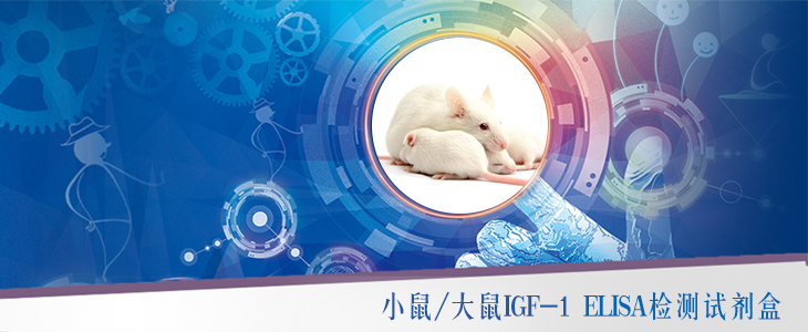 联科ELISA试剂盒推荐：小鼠/大鼠IGF-1检测试剂盒