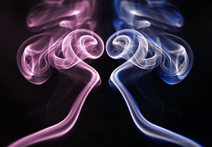 美天旎(Miltenyi Biotec)---Viscover 动物造影产品