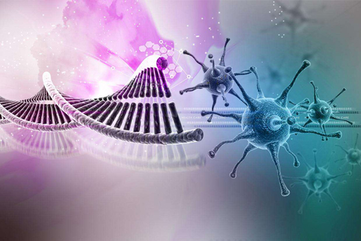 Agilent安捷伦突变产品小结