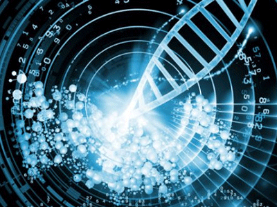 细胞因子推荐:小鼠 IL-16ELISA检测试剂盒