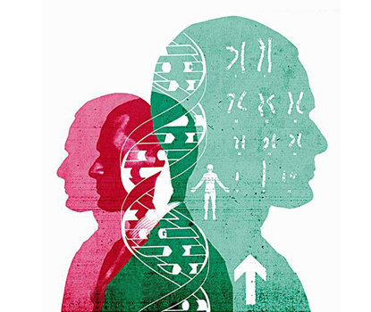 ELISA试剂盒新品:人白细胞介素17A高敏试剂盒