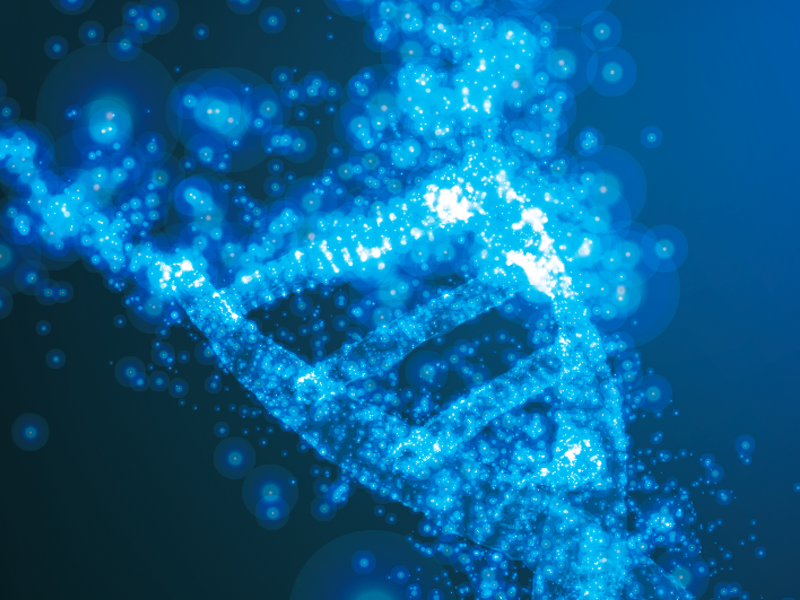 Western Blot实验成功必备利器---内参