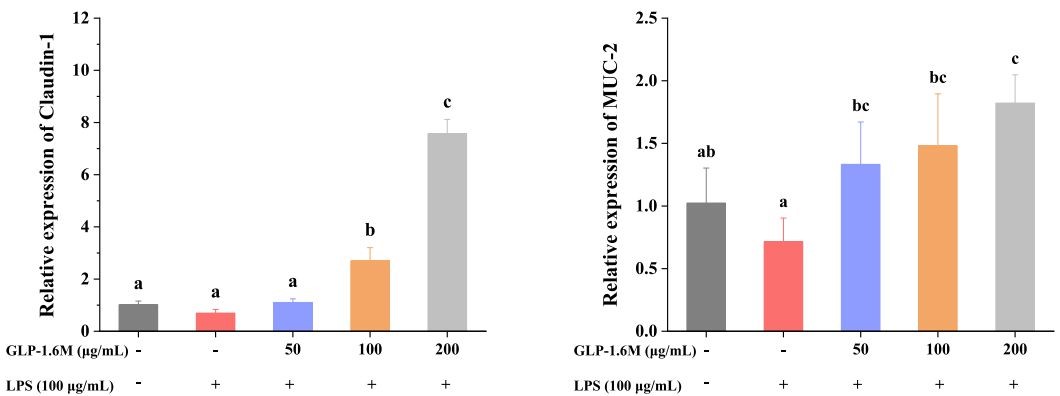 硫酸多糖对紧密连接相关基因相对表达的影响