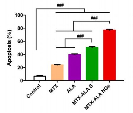 HaCaT细胞凋亡率检测