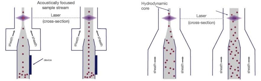 声波聚焦和流体动力学聚焦对比示意图