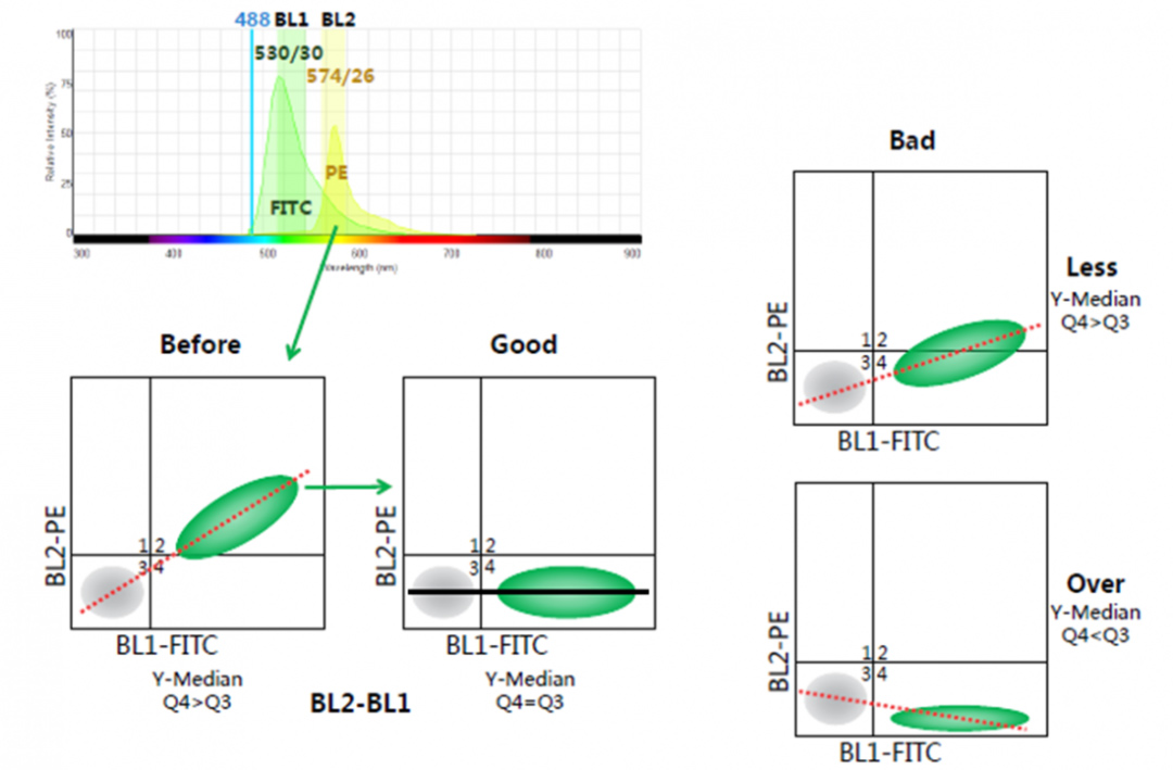 流式细胞术荧光标记选择与搭配指南