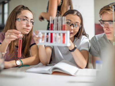 Read more about the article 我负责辅助，你负责Carry!