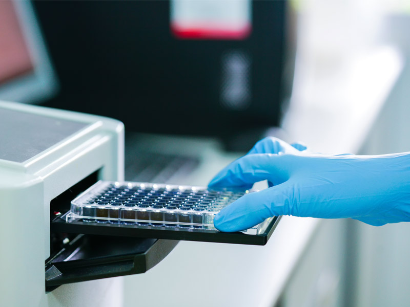 Read more about the article ELISA通关必备丨基础知识