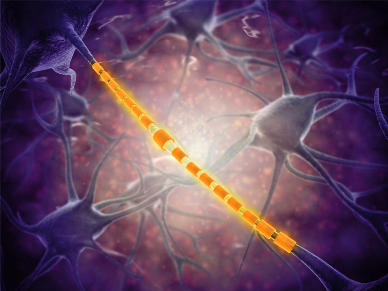 Read more about the article ELISA新品 | 联科生物八月新品来袭！