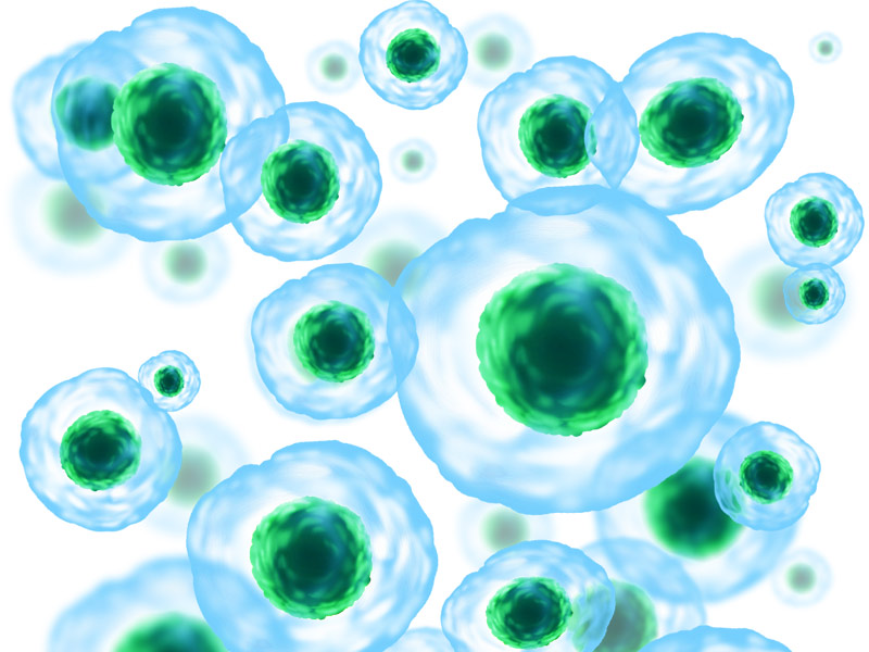 Read more about the article ELISA通关必备丨样本篇丨常见样本丨细胞