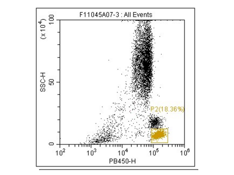 Read more about the article 流式抗体新品发布丨配色更丰富，实验更方便