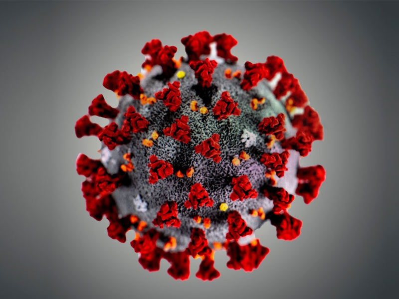 Read more about the article 新冠肺炎、肿瘤治疗相关的最新研究进展