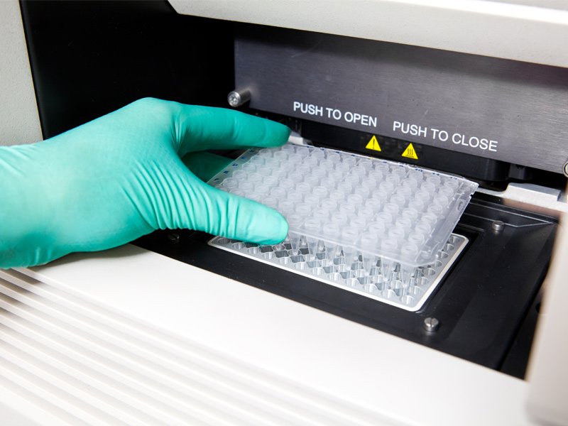 Read more about the article ELISA新品丨免疫，肿瘤，心血管病相关指标又双叒增加啦！