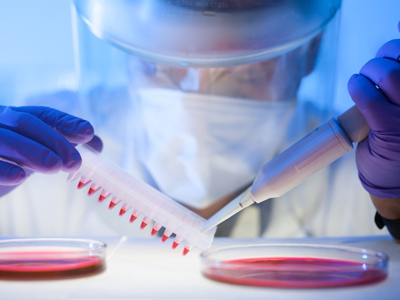 ELISA通关必备丨结果篇丨白板与花板