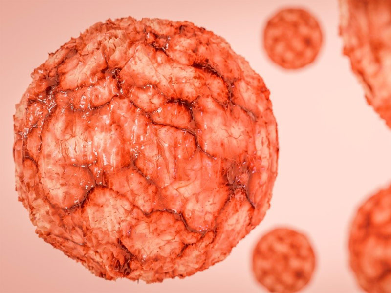 Read more about the article 客户论文分享 | 基于光动力疗法和DNA修复干预的多功能仿生纳米技术协同治疗乳腺癌（IF = 10.633）