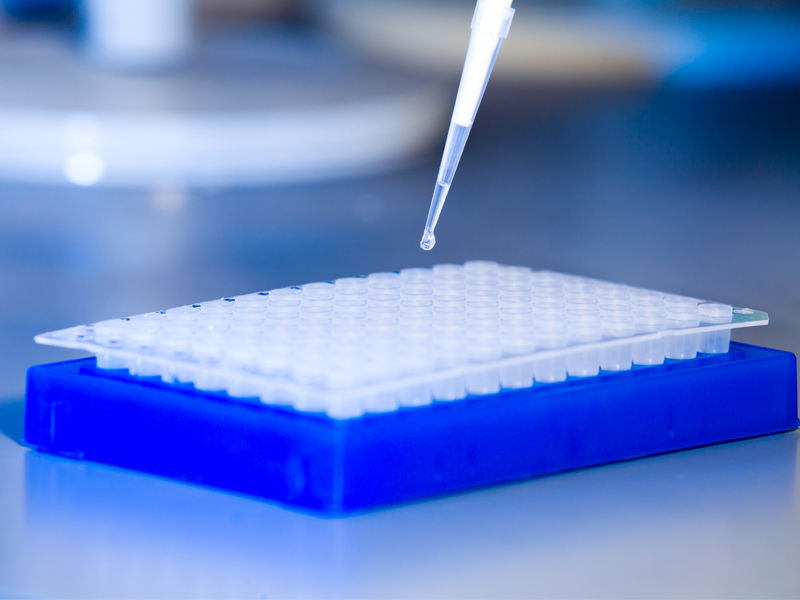 Read more about the article ELISA新品 | 新春第一波：Human NT-proBNP、Guinea pig IL-6