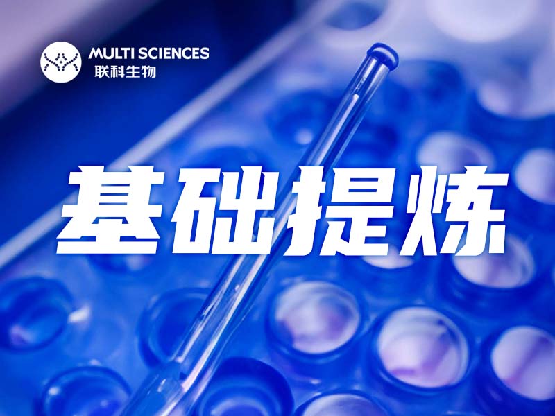 Read more about the article 基础提炼 | 手牵手，好朋友，流式路上共前进