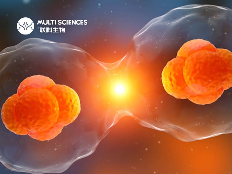 干货分享 | 辅助试剂助力流式检测更高效、稳定完成