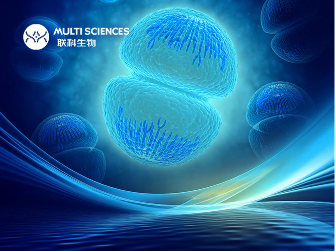 Read more about the article 展会预告 | 联科生物邀您相聚第十三届（苏州）细胞产业大会