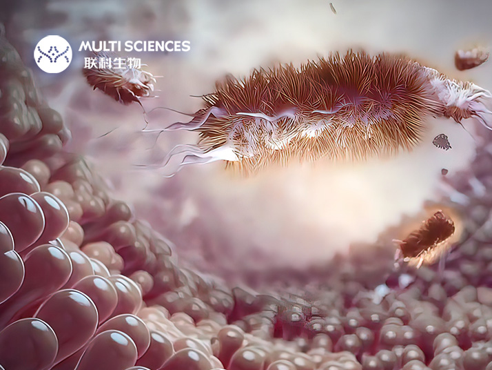 Read more about the article 论文分享 | 皮肤炎症治疗新发现