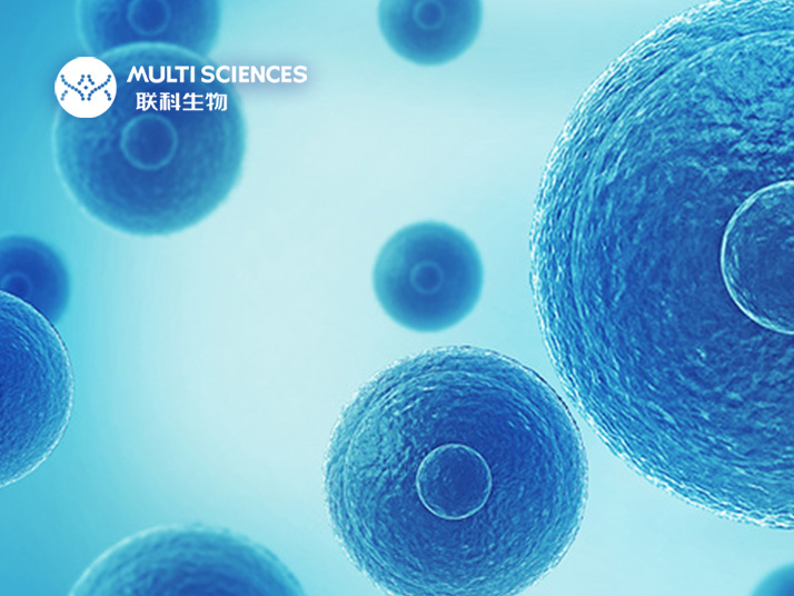 Read more about the article 论文分享 | 结直肠癌癌症淋巴结转移治疗新发现